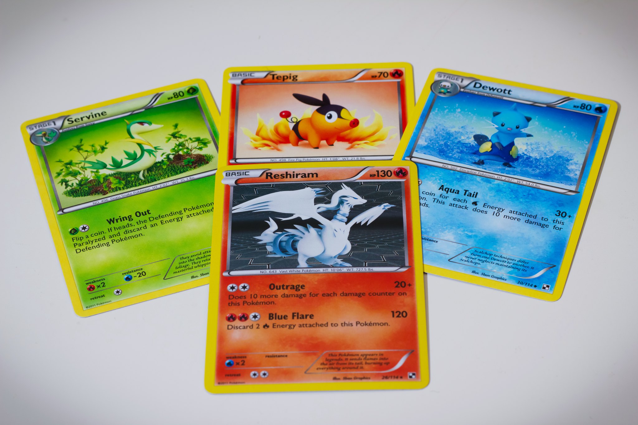 포켓몬 카드